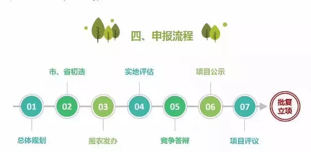 新澳免费资料大全精准版第050期详解，数字组合的魅力与策略,新澳免费资料大全精准版050期 15-19-30-32-43-45Z：46