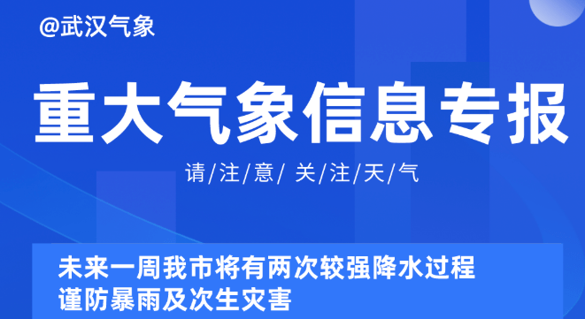 探索未来，2025年全年资料免费大全优势及独特服务标识解析,2025年全年资料免费大全优势043期 16-21-25-27-40-46R：33