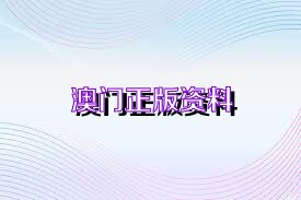 澳门正版资料免费精准解析，探索第021期的奥秘与数字组合之谜（关键词，02-19-20-29-38-49K与04）,奥门正版资料免费精准021期 02-19-20-29-38-49K：04